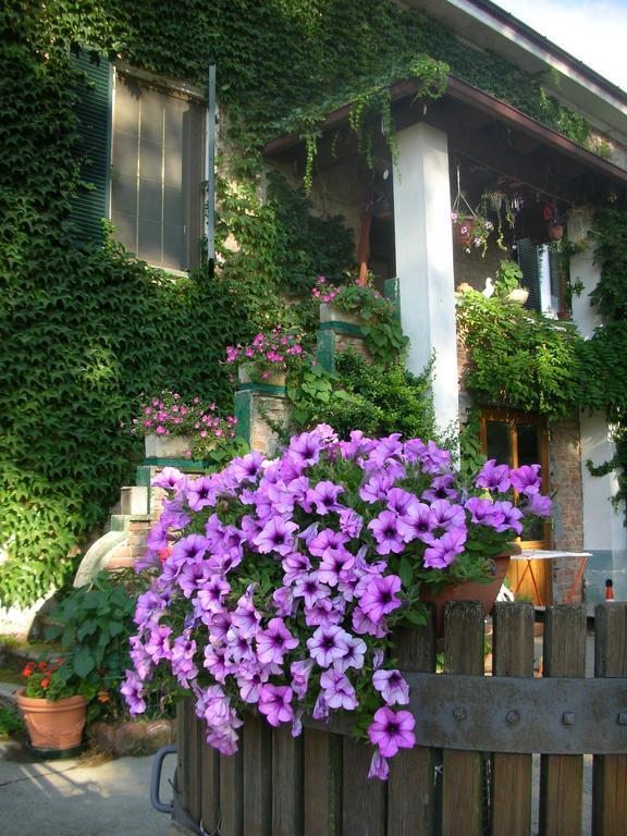 Villa Cascina Beneficio Castelnuovo Bormida Exterior foto